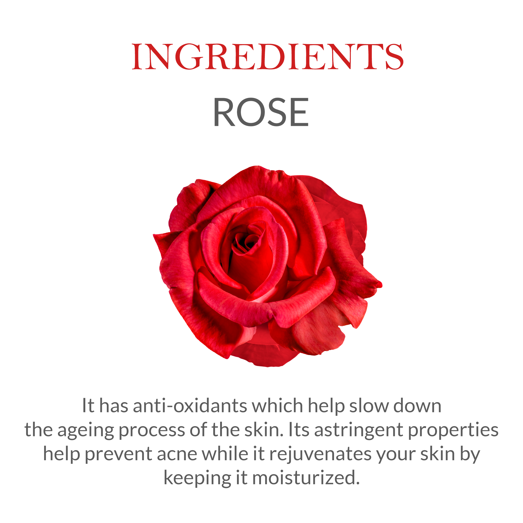 List of natural ingredients in Khadi Rose Body Lotion