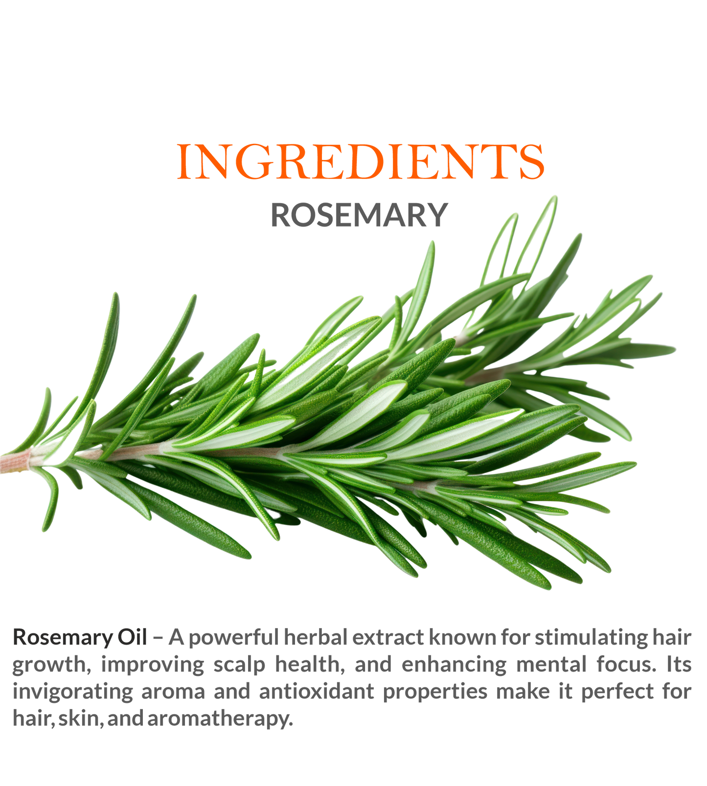 Natural Ingredients in Khadi Rosemary Essential Oil – Steam-Distilled for Maximum Purity
