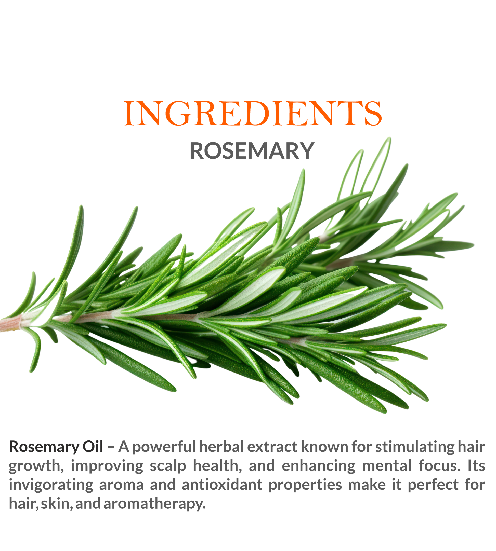 Natural Ingredients in Khadi Rosemary Essential Oil – Steam-Distilled for Maximum Purity

