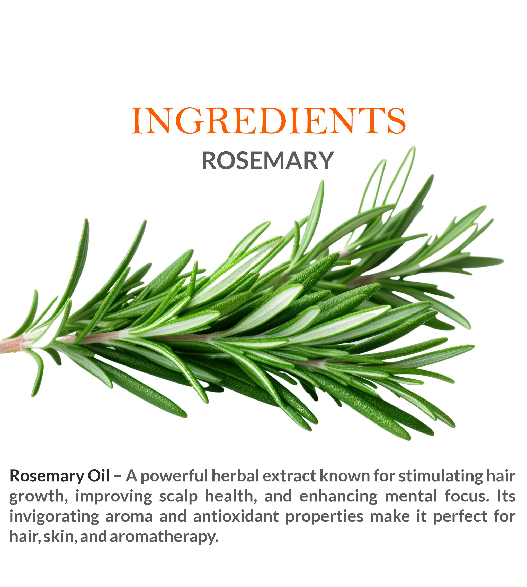 Natural Ingredients in Khadi Rosemary Essential Oil – Steam-Distilled for Maximum Purity
