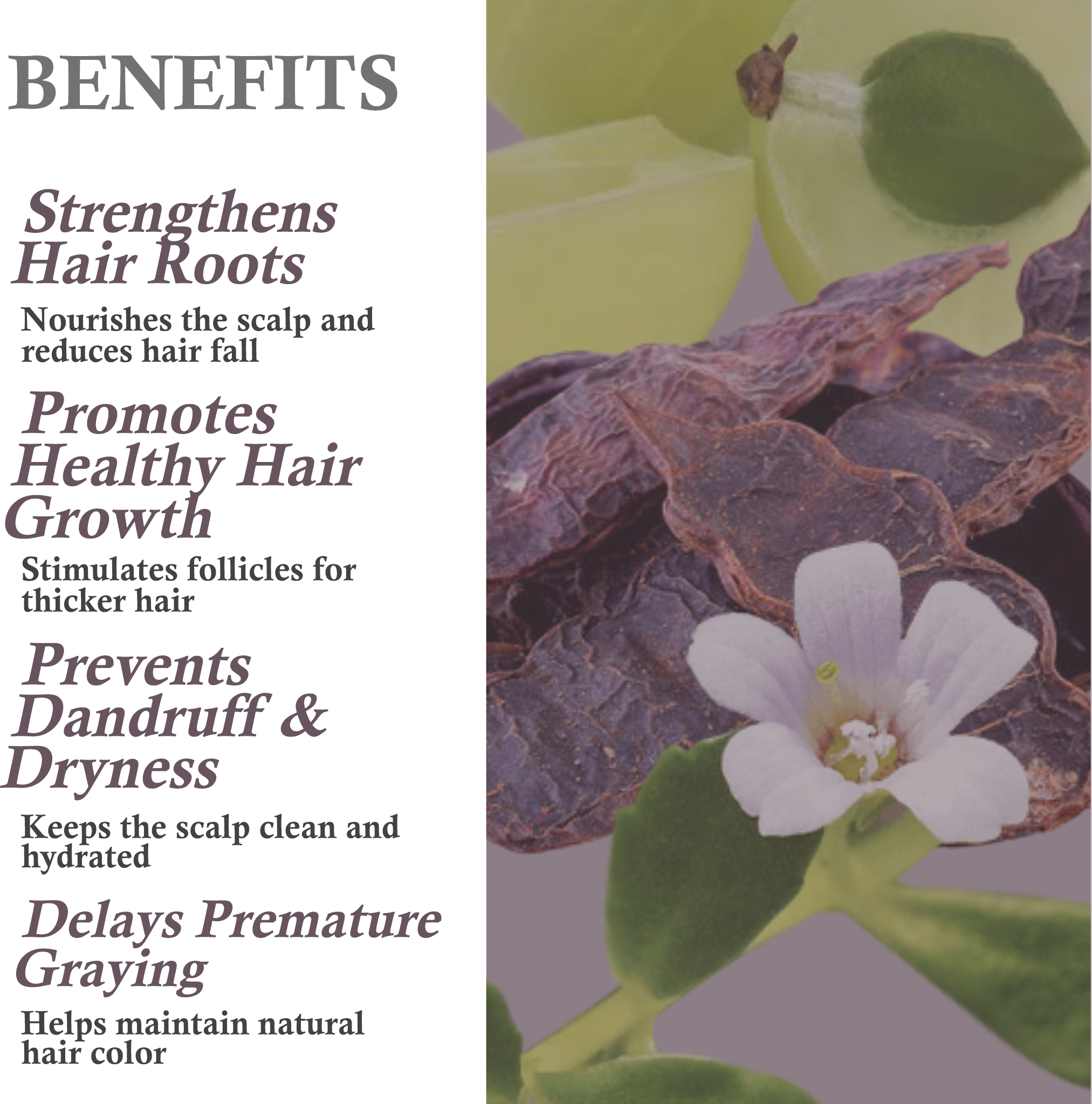 Key benefits of Khadi Triphala Herbal Hair Oil – Strengthens roots, nourishes scalp, prevents graying