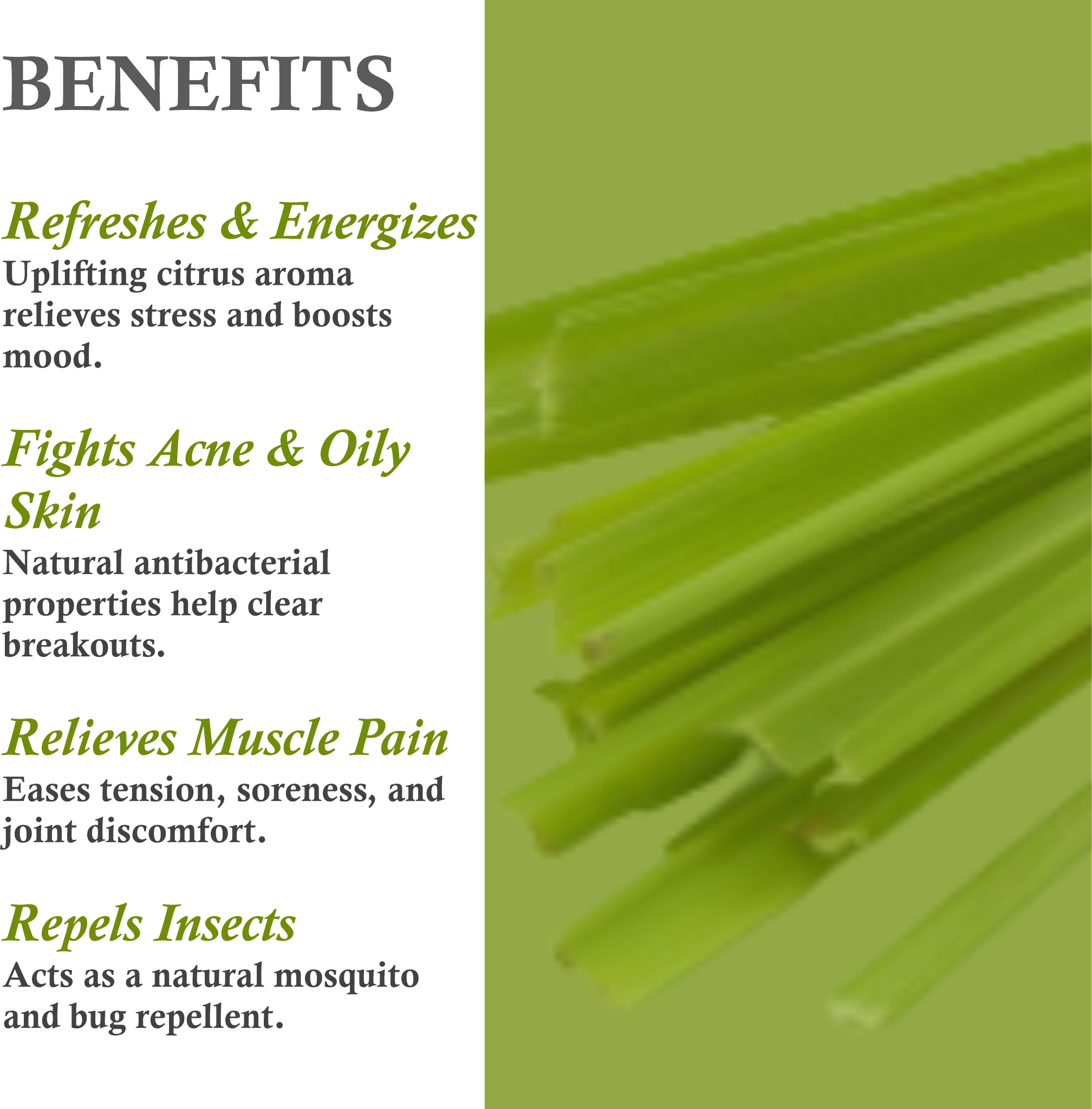 Benefits of Lemongrass Essential Oil – Purifies Skin, Controls Oil & Strengthens Hair