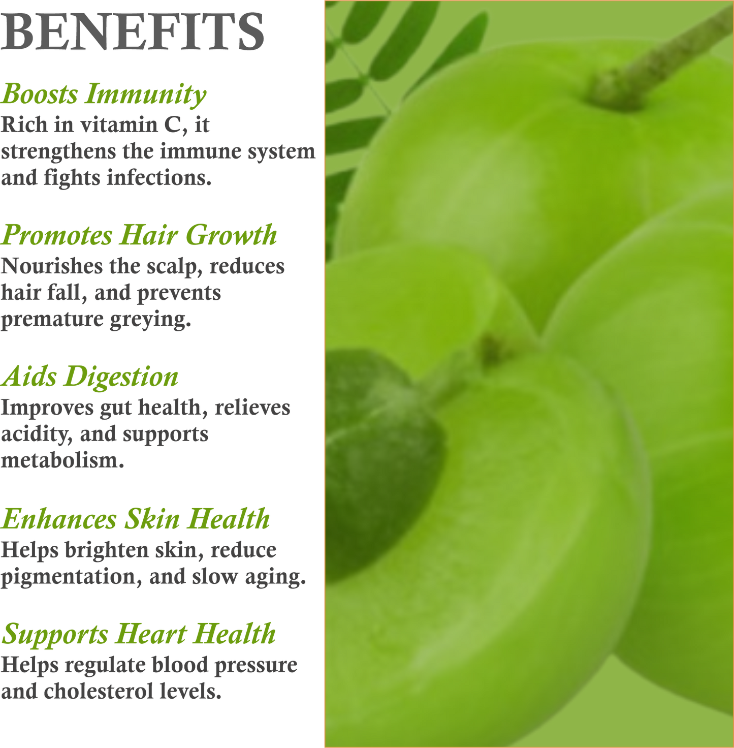 Benefits of Mountain Ayurveda Amla Powder – Strengthens Hair, Brightens Skin & Boosts Immunity
