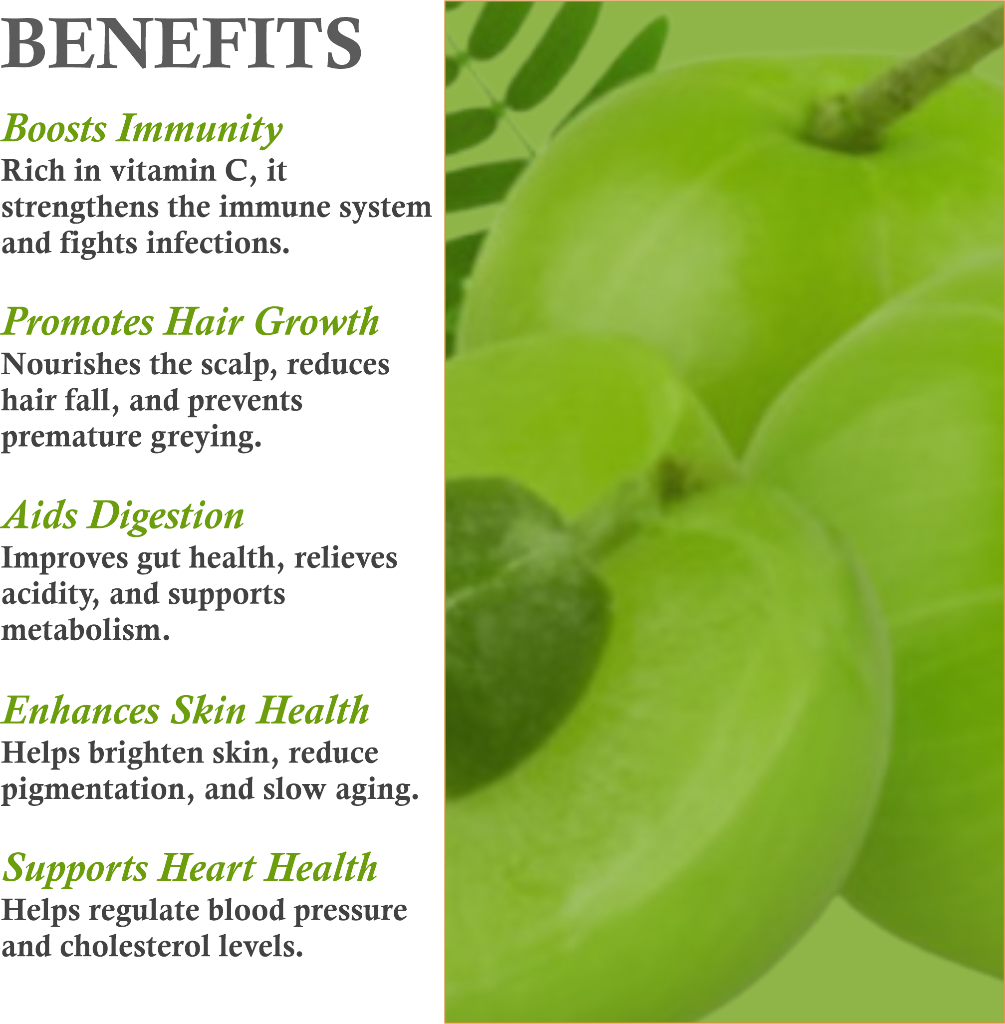 Benefits of Mountain Ayurveda Amla Powder – Strengthens Hair, Brightens Skin & Boosts Immunity