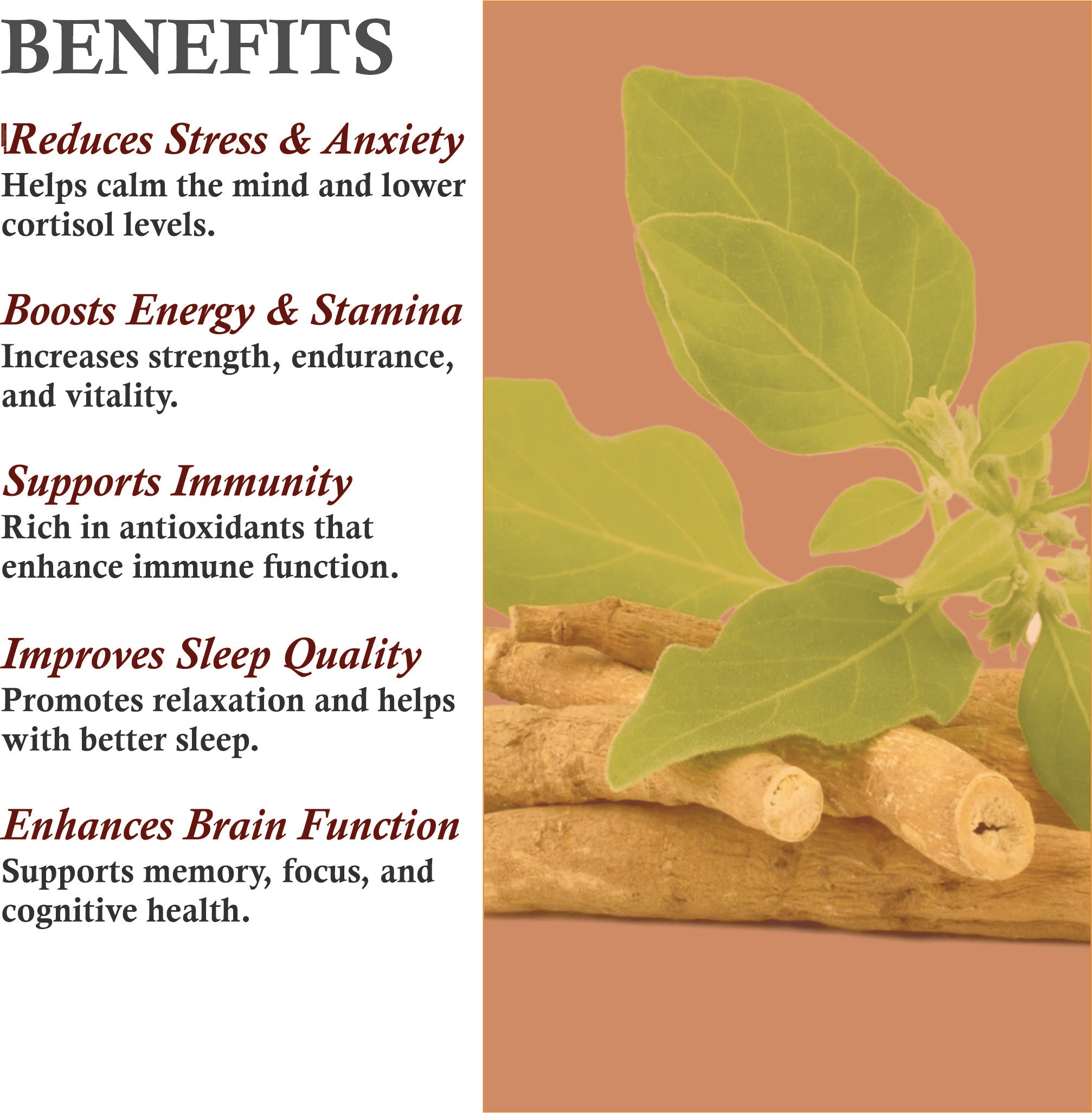 Mountain Ayurveda Ashwagandha Powder Benefits – Stress Relief, Energy Boost & Immunity Support