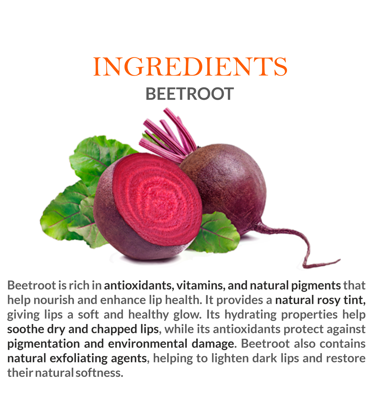Natural Ingredients in Mountain Ayurveda Beetroot Lip Balm – Beetroot Extract & Nourishing Oils
