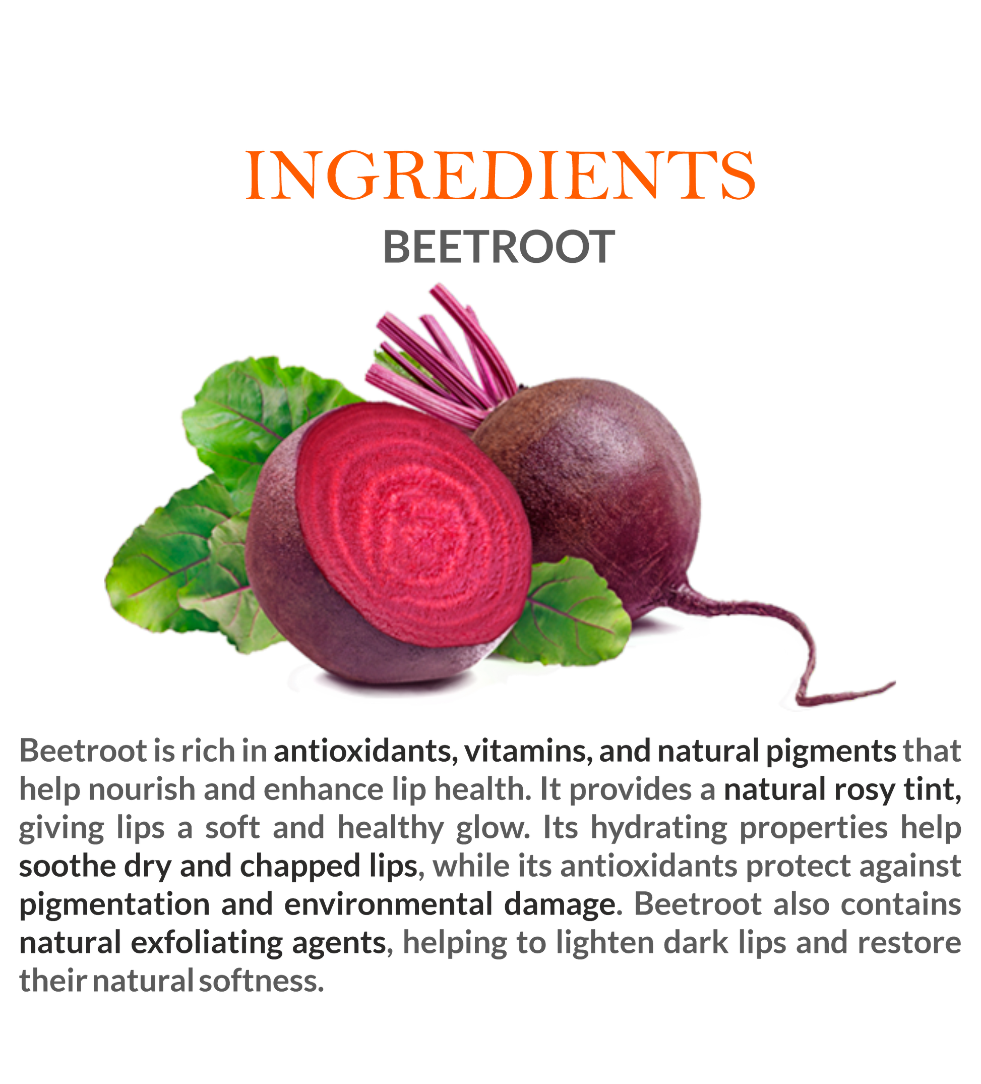 Natural Ingredients in Mountain Ayurveda Beetroot Lip Balm – Beetroot Extract & Nourishing Oils
