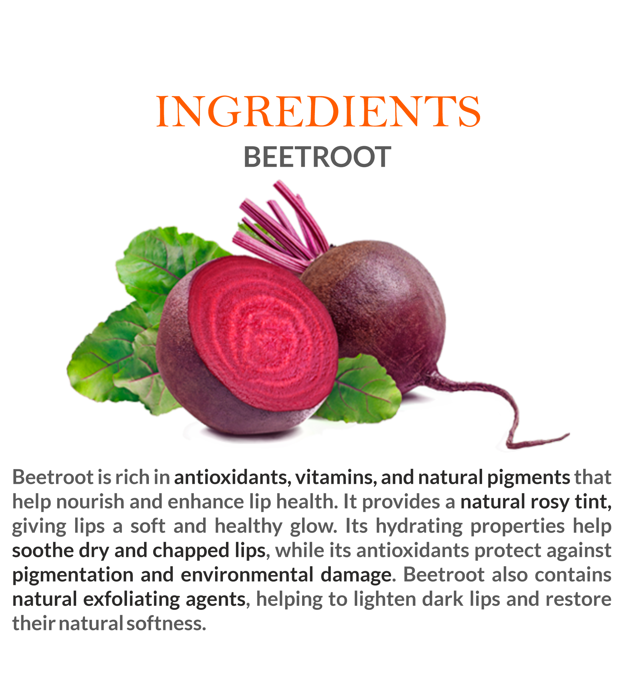 Natural Ingredients in Mountain Ayurveda Beetroot Lip Balm – Beetroot Extract & Nourishing Oils
