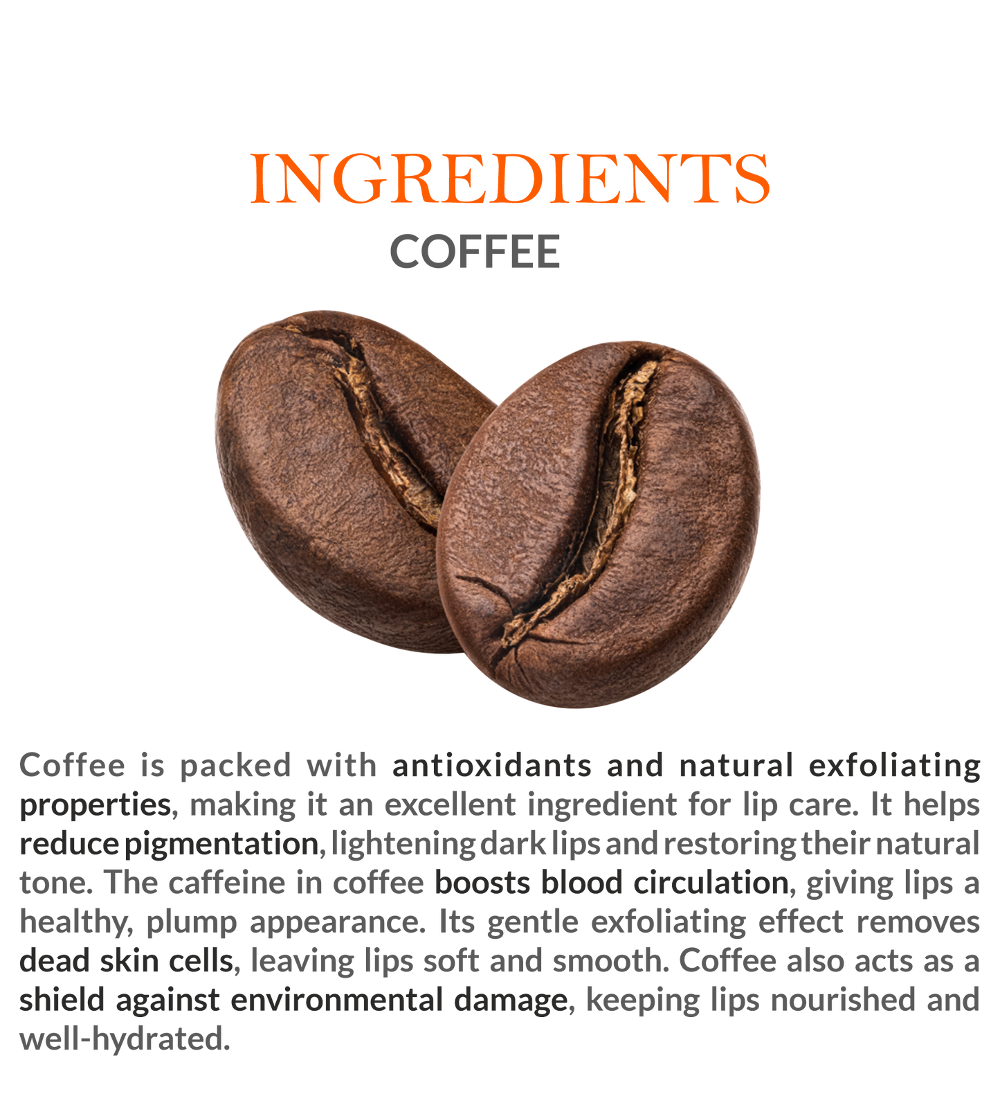 Natural Ingredients in Mountain Ayurveda Coffee Lip Balm – Coffee Extracts & Nourishing Oils