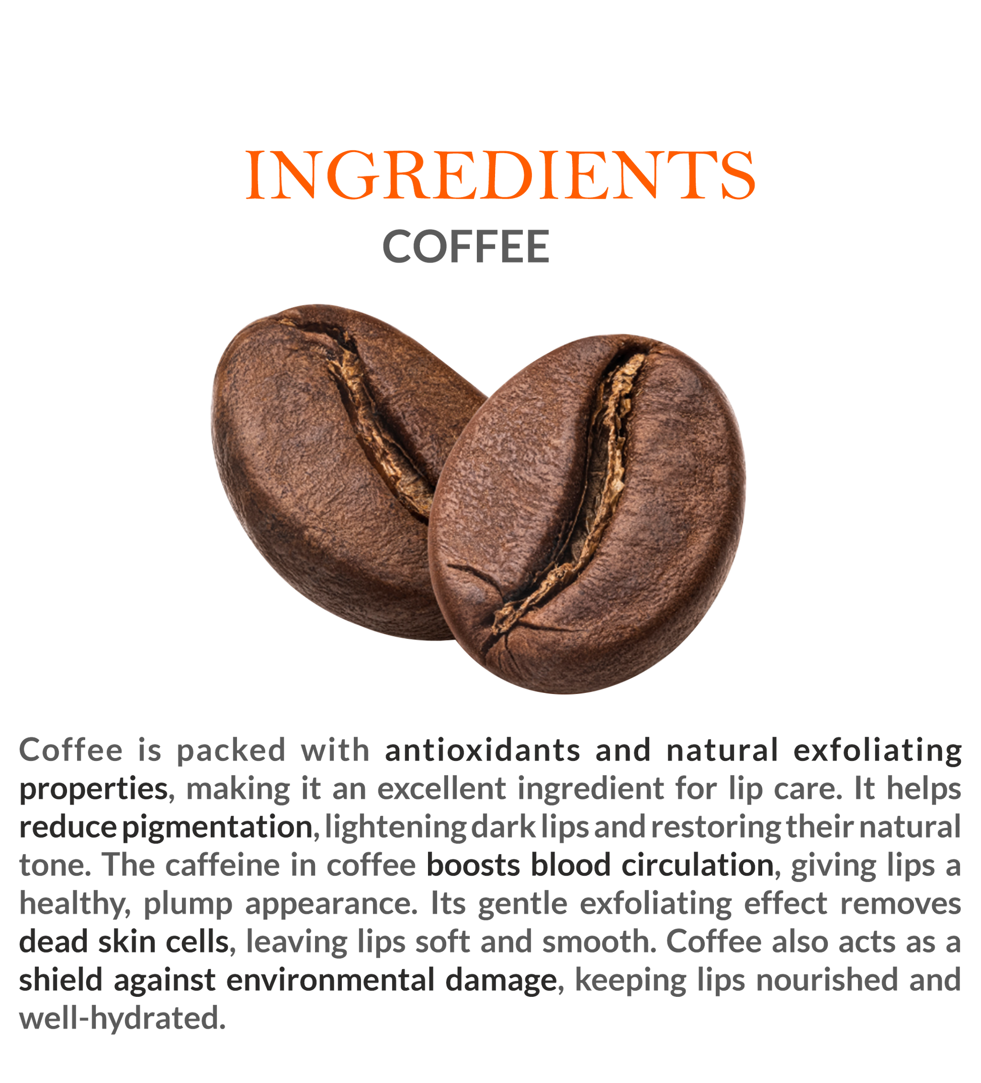 Natural Ingredients in Mountain Ayurveda Coffee Lip Balm – Coffee Extracts & Nourishing Oils