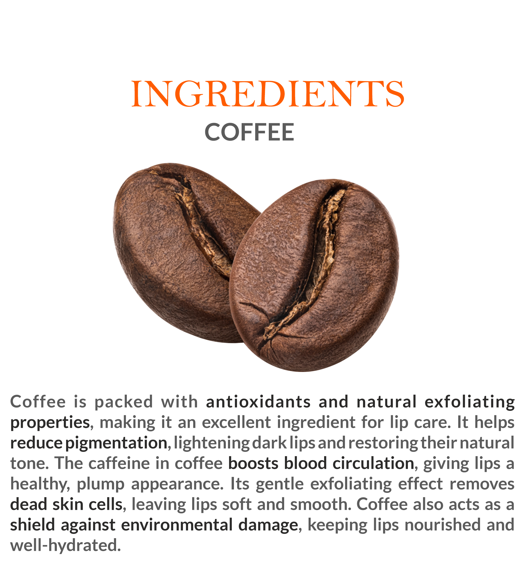 Natural Ingredients in Mountain Ayurveda Coffee Lip Balm – Coffee Extracts & Nourishing Oils