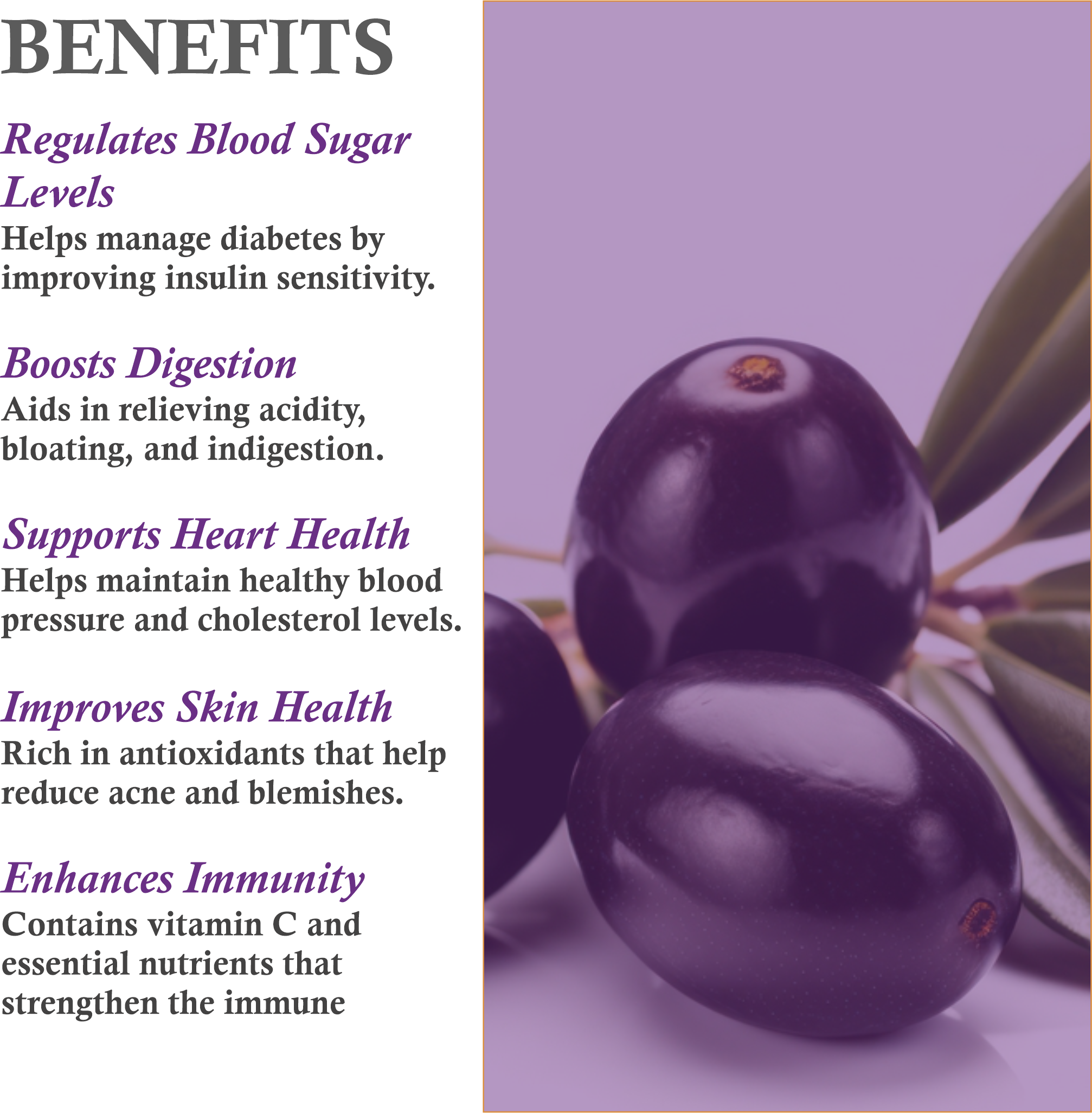 Benefits of Mountain Ayurveda Jamun Powder – Blood Sugar Control, Gut Health & Skin Purification