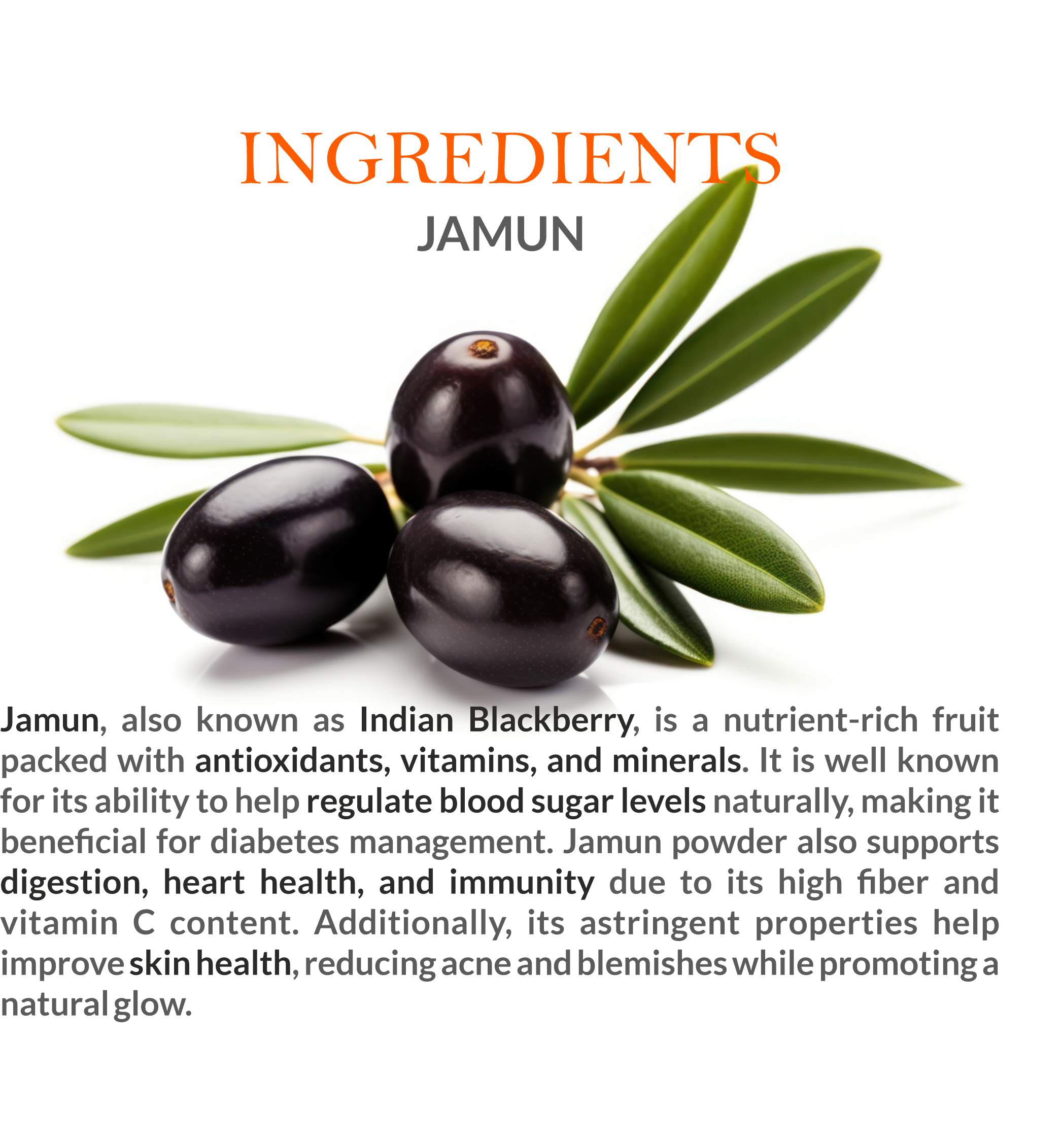 Natural Ingredients in Mountain Ayurveda Jamun Powder – 100% Pure Jamun Fruit Extract
