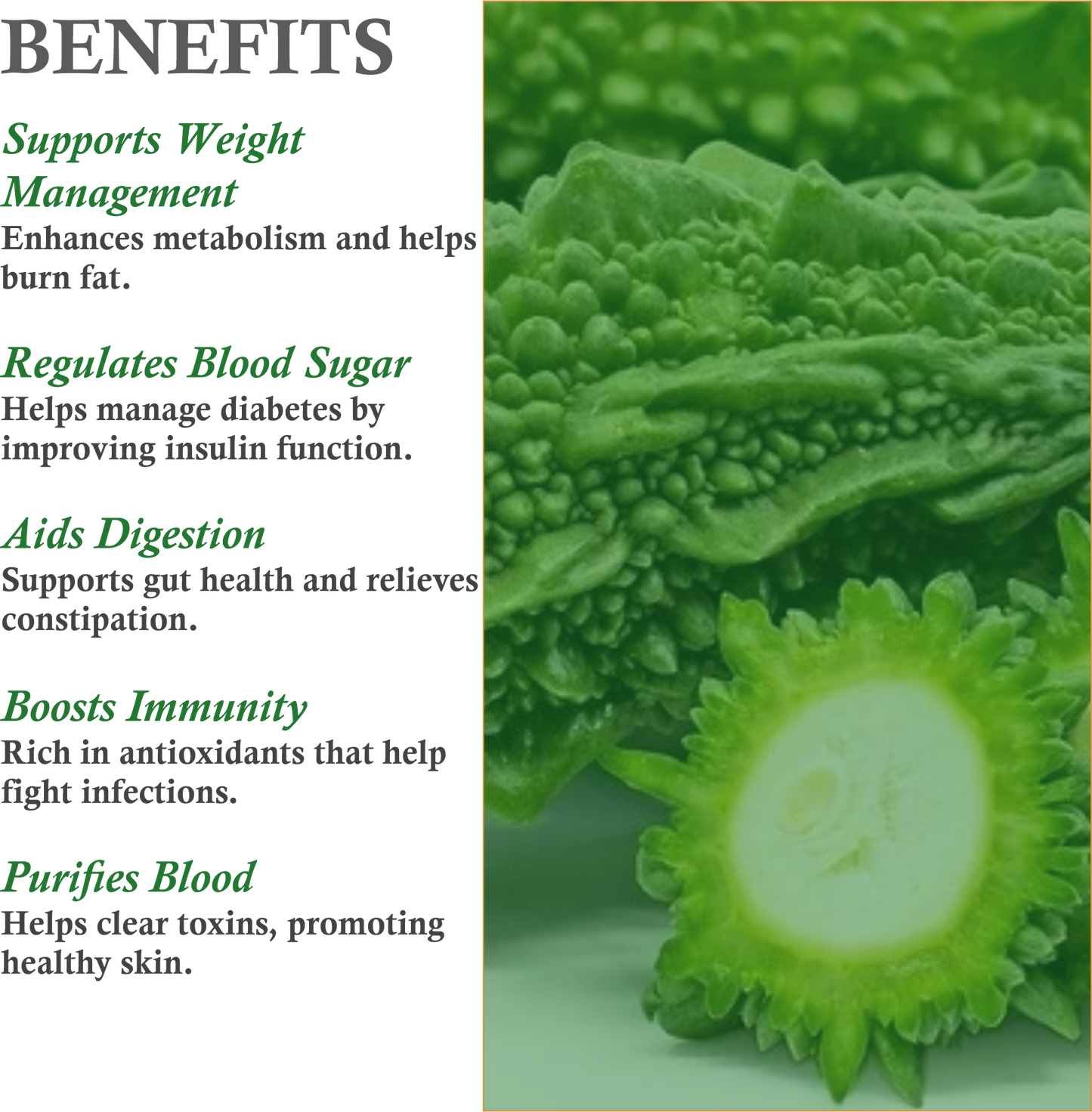 Benefits of Mountain Ayurveda Karela Powder – Blood Sugar Control, Liver Cleanse & Skin Purification