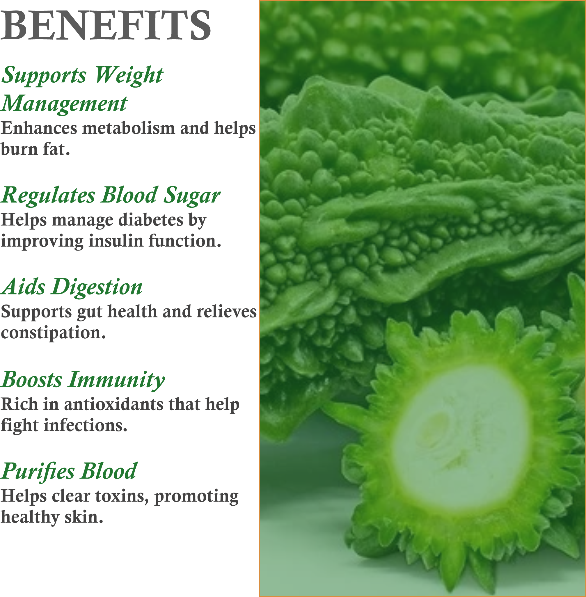 Benefits of Mountain Ayurveda Karela Powder – Blood Sugar Control, Liver Cleanse & Skin Purification