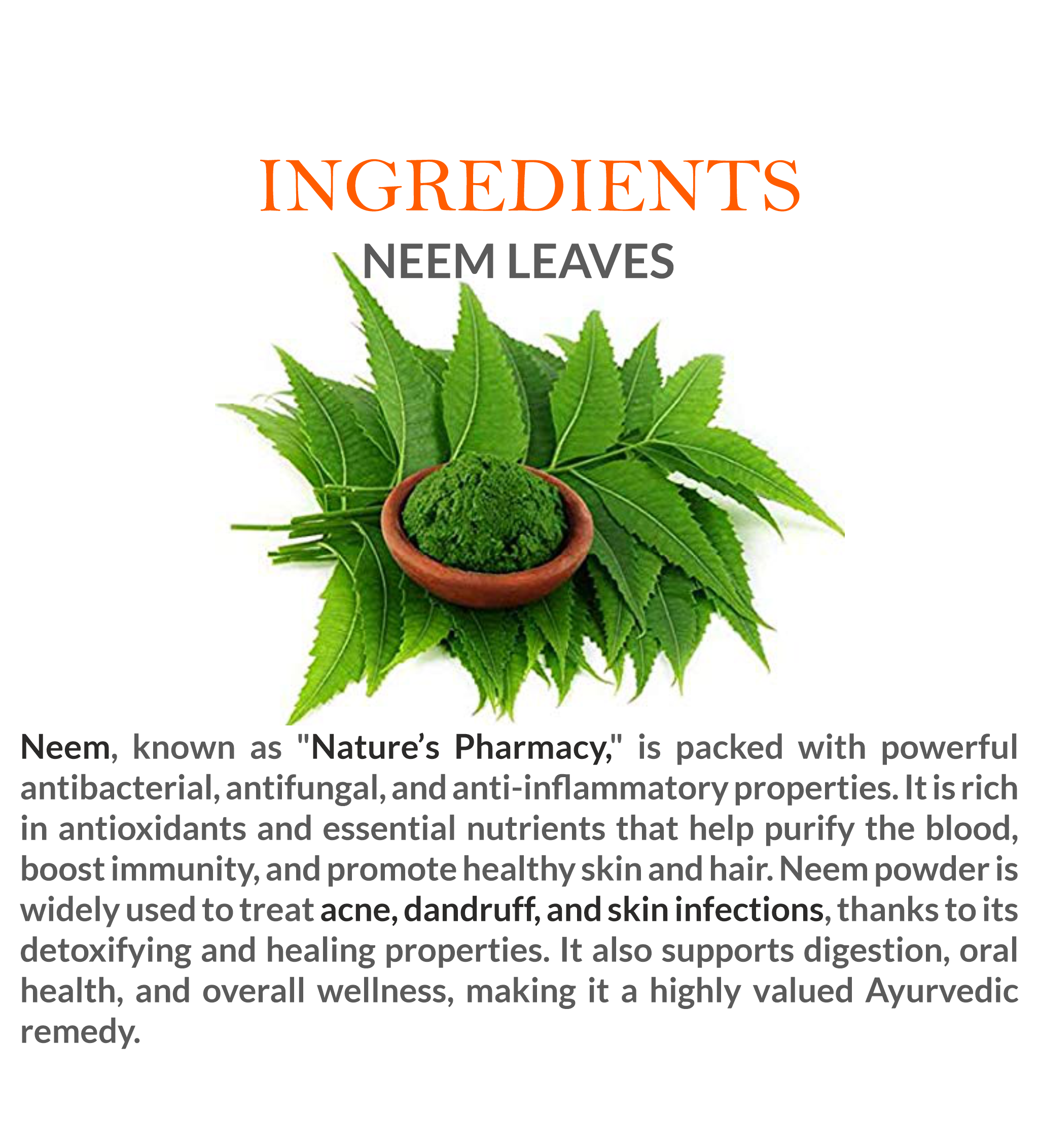 Natural Ingredients in Mountain Ayurveda Neem Patti Powder – 100% Pure Neem Leaves Powder
