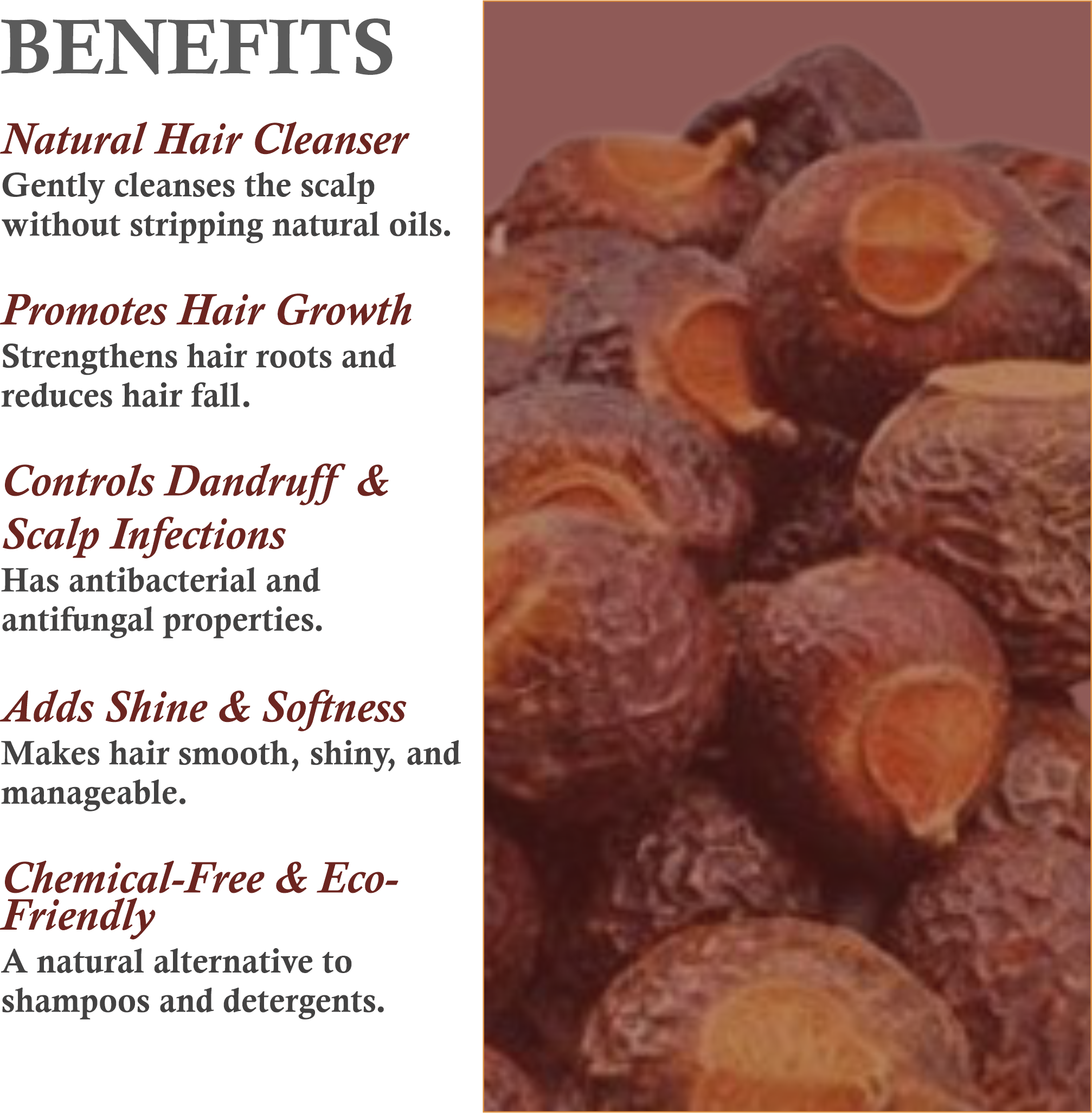 Benefits of Mountain Ayurveda Reetha Powder – Strengthens Hair, Reduces Dandruff & Purifies Skin