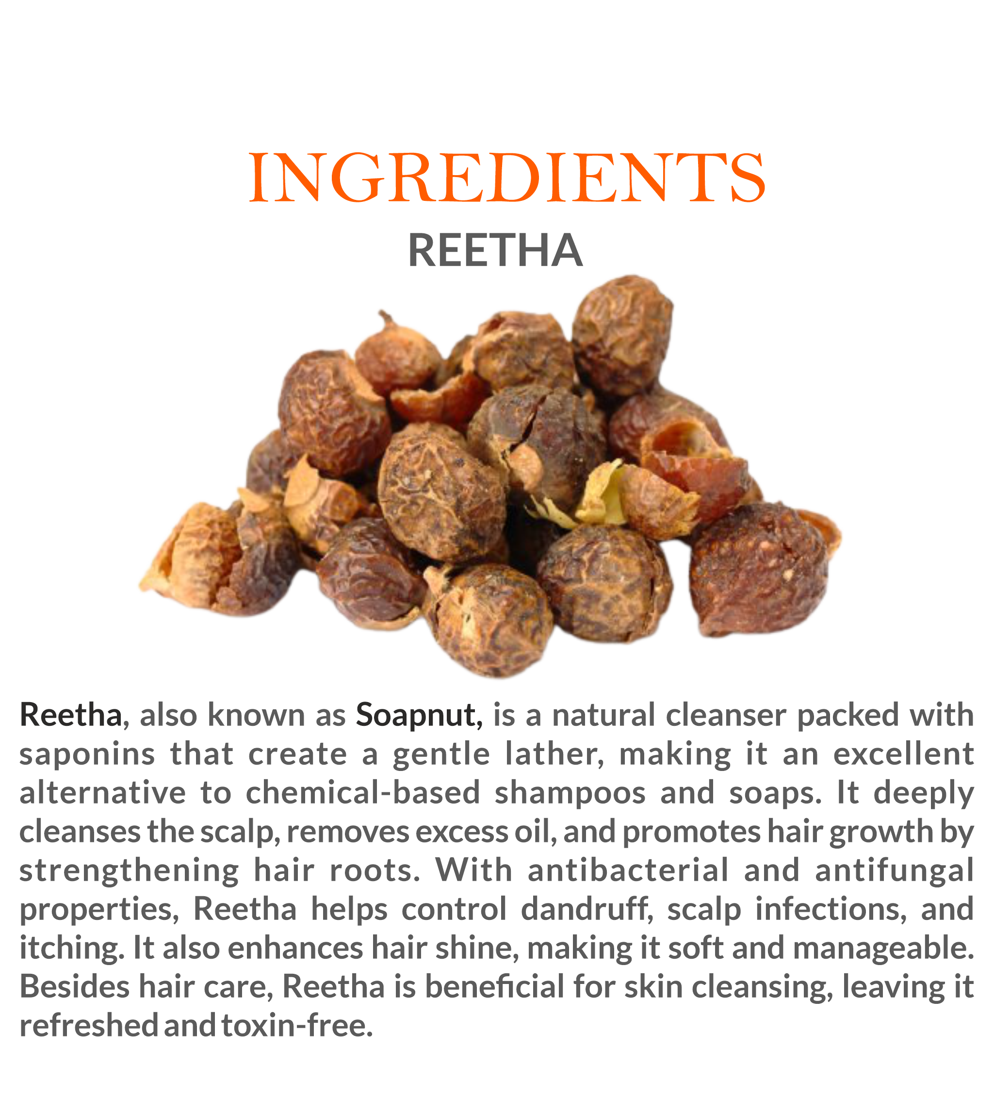 Natural Ingredients in Mountain Ayurveda Reetha Powder – 100% Pure Soapnut Extract