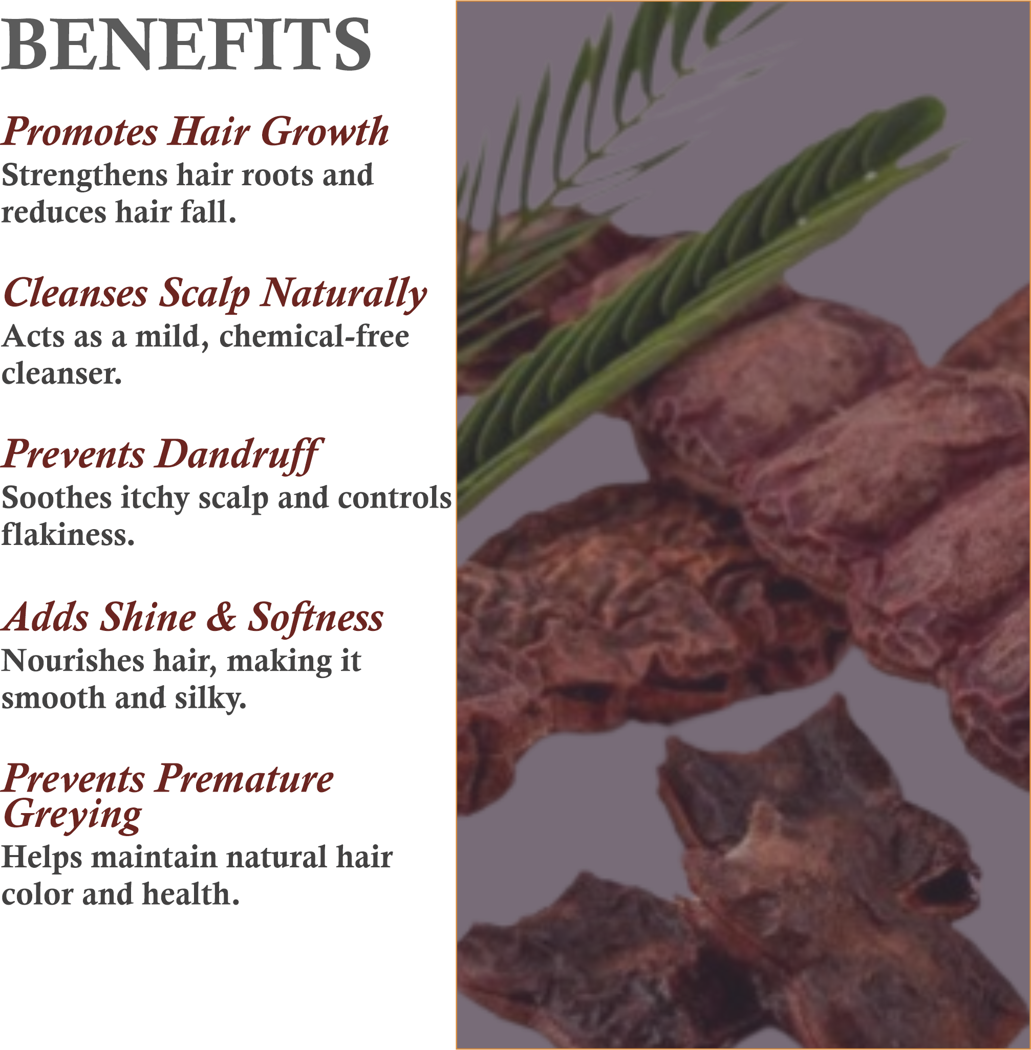 Benefits of Mountain Ayurveda Shikakai Powder – Hair Strength, Dandruff Control & Natural Cleanser