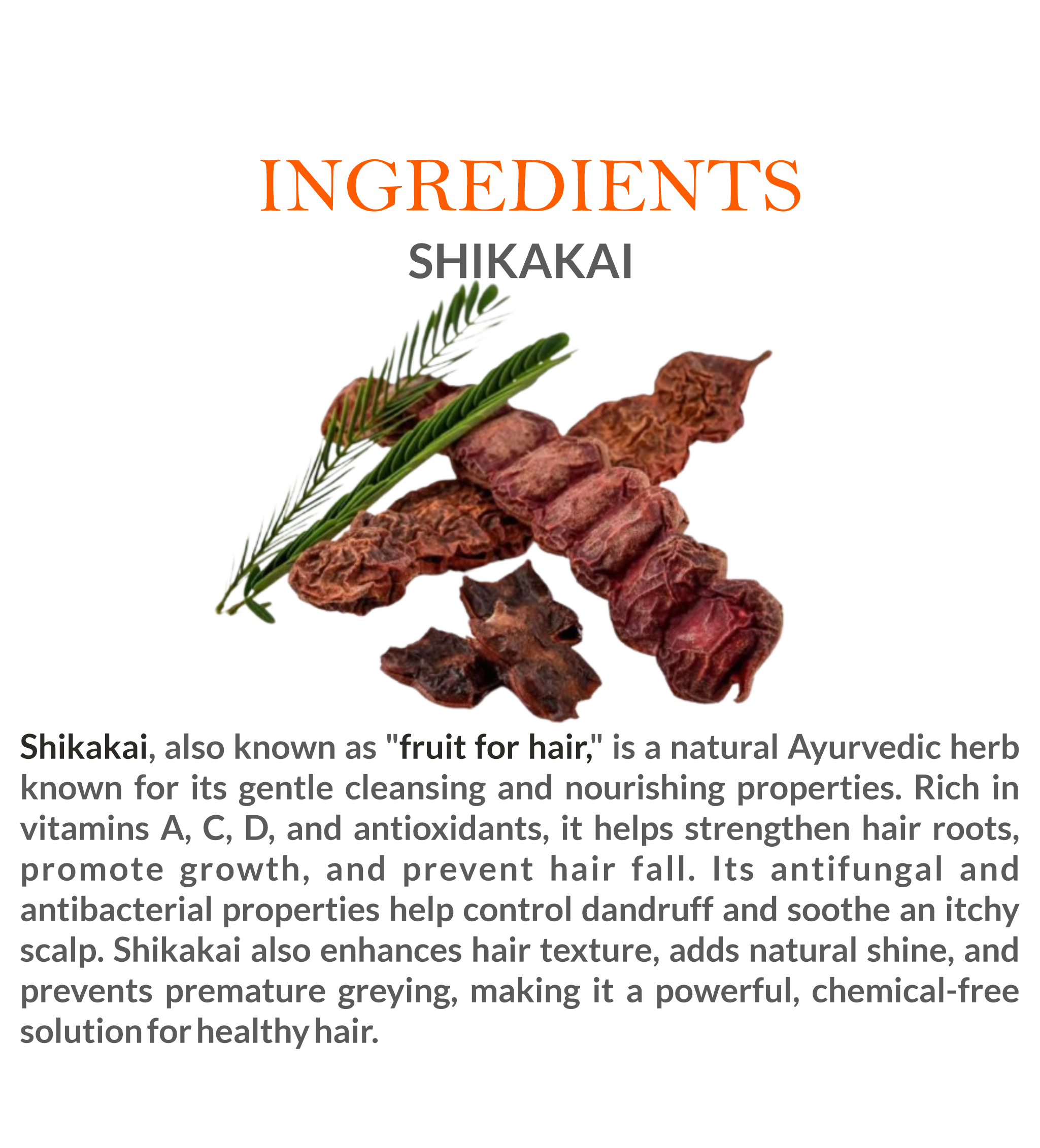 Natural Ingredients in Mountain Ayurveda Shikakai Powder – 100% Pure Shikakai Powder