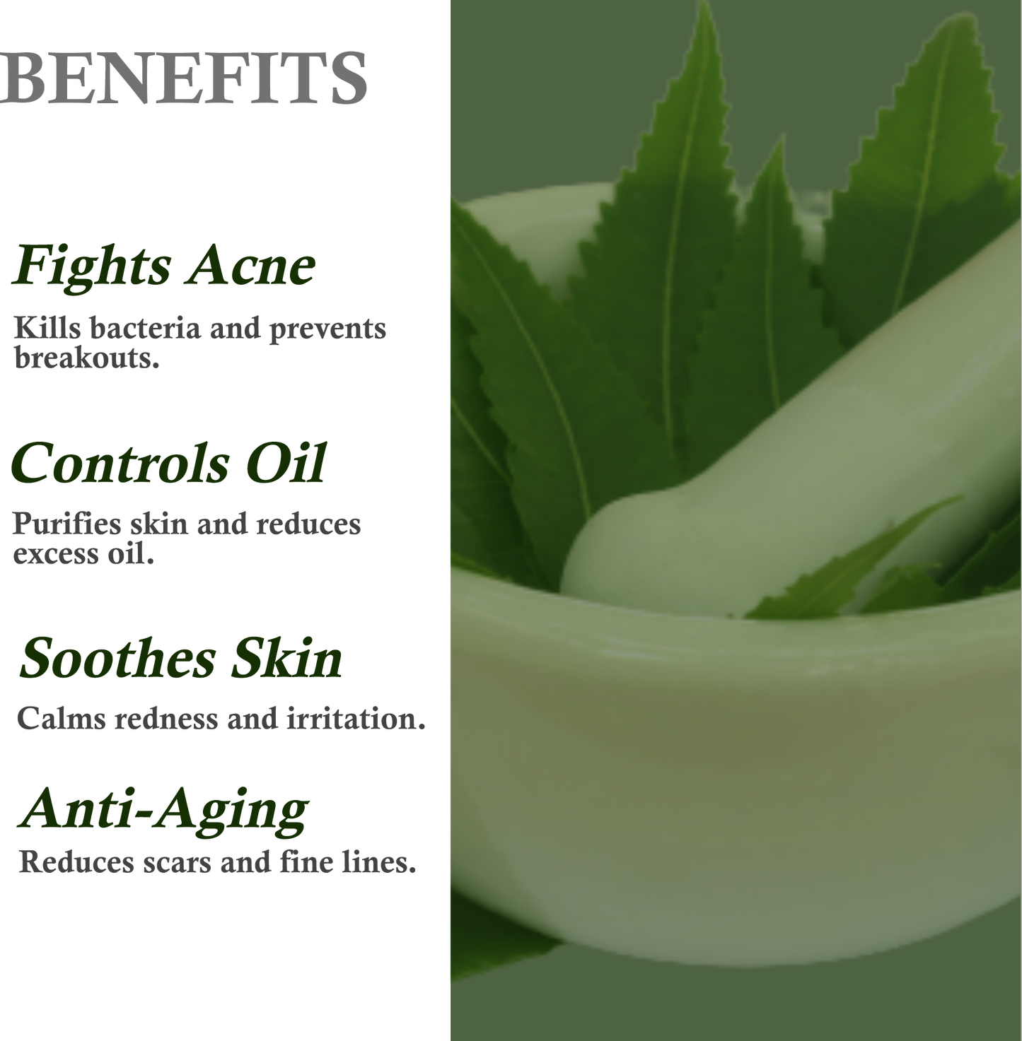 Benefits of Mountain Ayurveda Neem Face Pack – Acne Control, Deep Cleansing & Oil Reduction