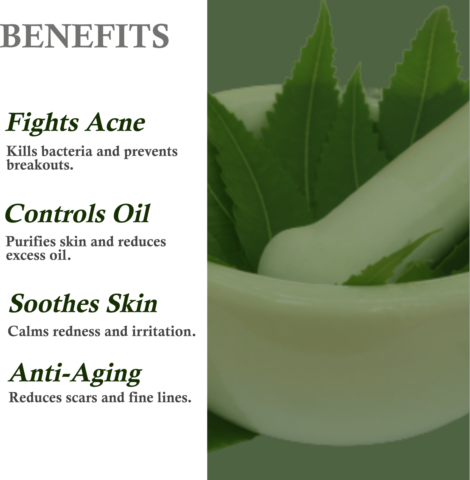 Benefits of Mountain Ayurveda Neem Face Pack – Acne Control, Deep Cleansing & Oil Reduction