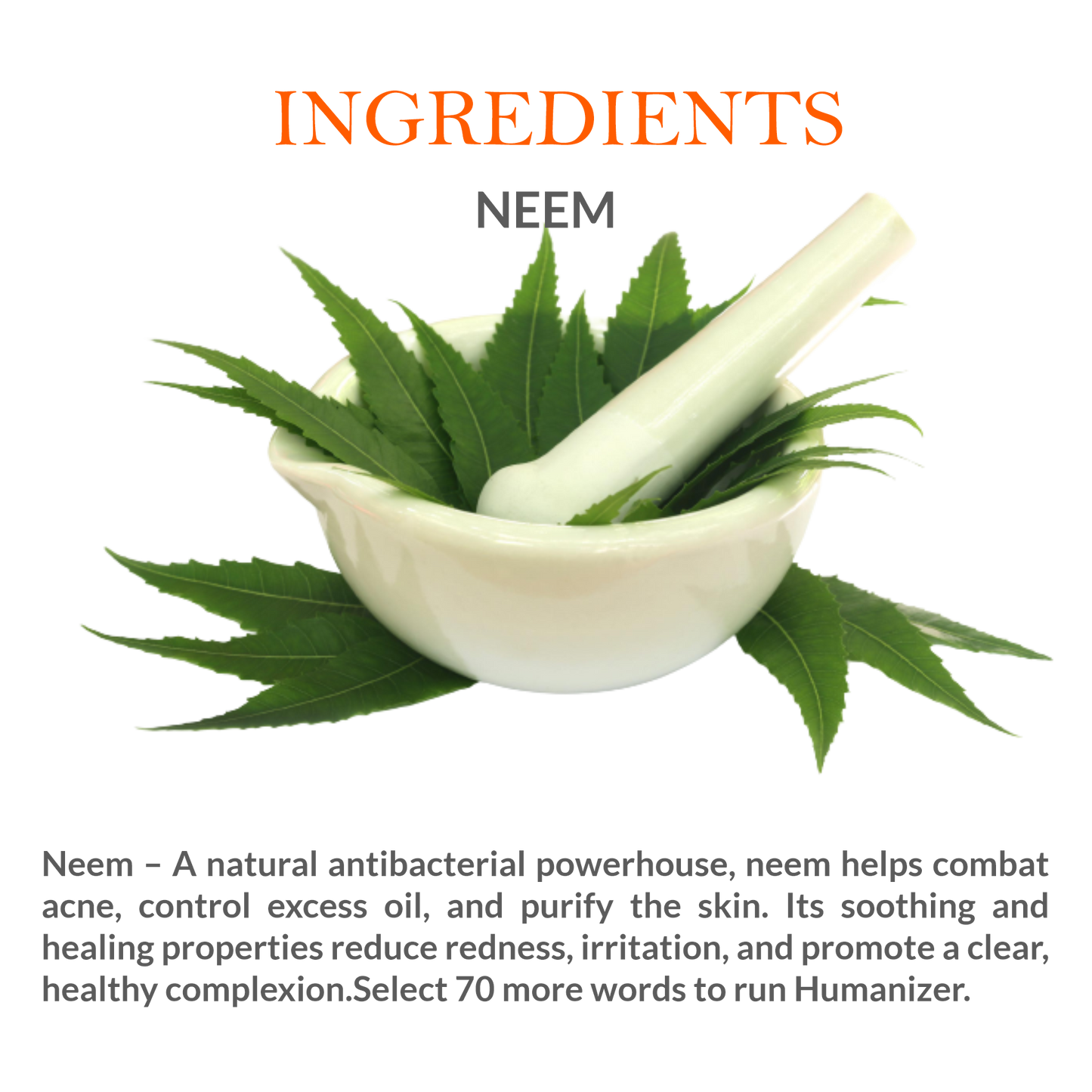 Natural Ingredients in Mountain Ayurveda Neem Face Pack – Neem, Multani Mitti & Aloe Vera