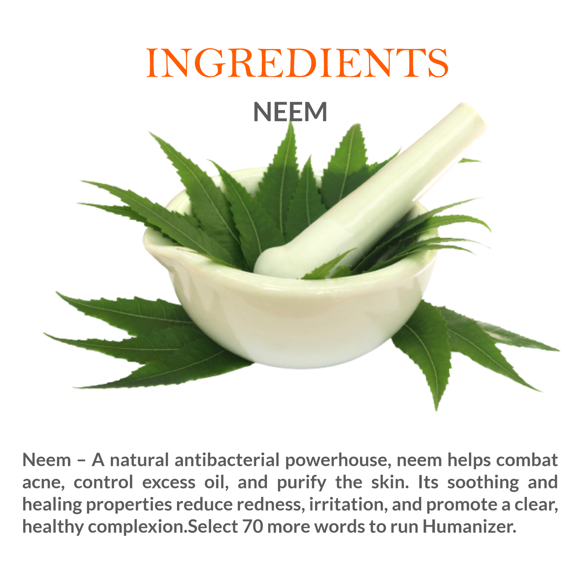 Natural Ingredients in Mountain Ayurveda Neem Face Pack – Neem, Multani Mitti & Aloe Vera