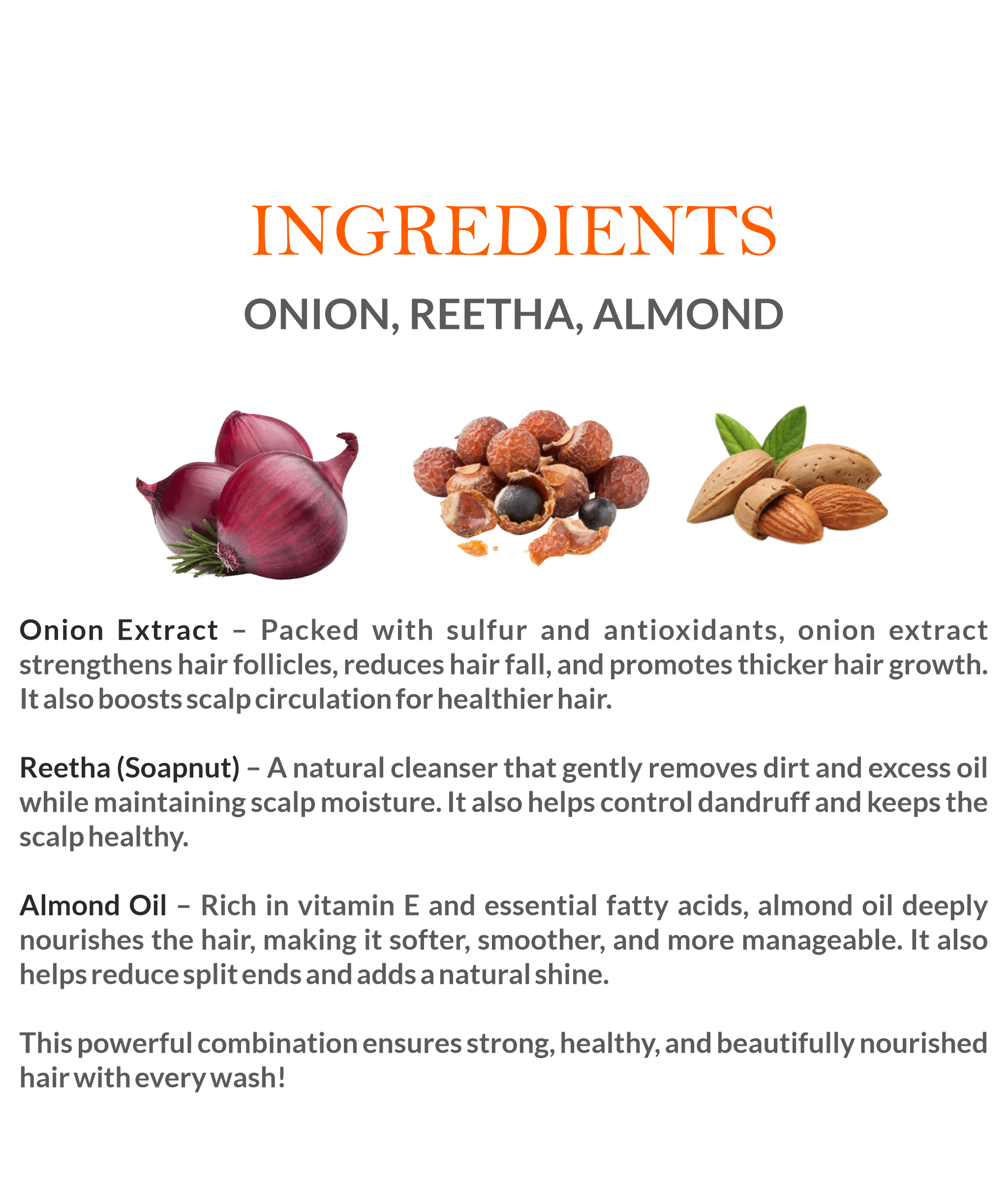 Natural Ingredients in Mountain Ayurveda Onion Shampoo – Red Onion, Bhringraj & Herbal Extracts